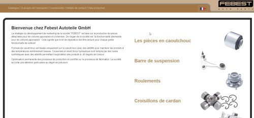 2021-10-17-121104-a-propos-de-l-entreprise---la-societe-febest---febestde-brave